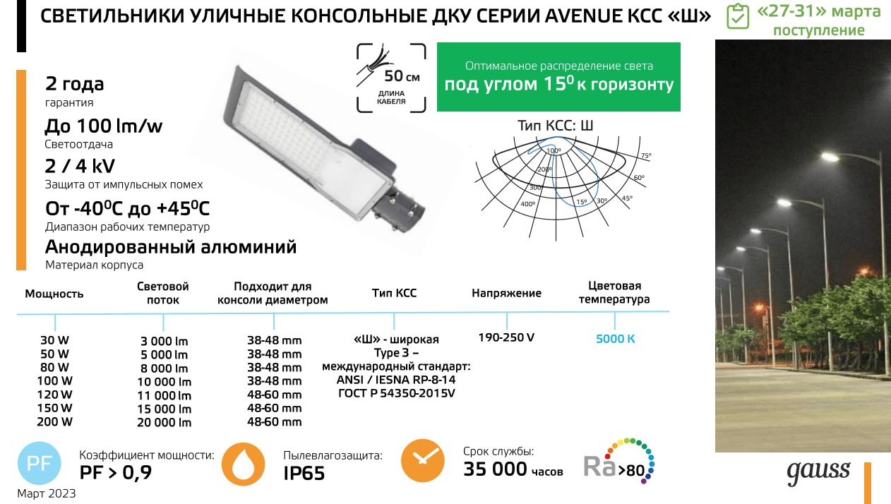 629534300 Светильник Уличный Gauss LED Avenue IP65 420*160*57 100W 10000lm  5000K 190-250V КСС 