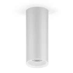 Светильник накладной Gauss HD013 12W (белый) 4100K 79x200мм 1/30