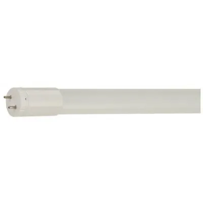 T8 6500k new arrivals